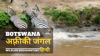 Botswana Jungle, Africa 2️⃣ - हिन्दी डॉक्यूमेंट्री | Wild animals documentary in Hindi
