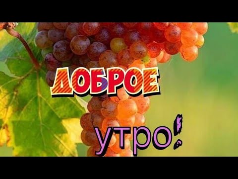 Доброе утро/Весёлая, музыкальная открытка с Добрым Утром/Просыпайся и улыбайся/