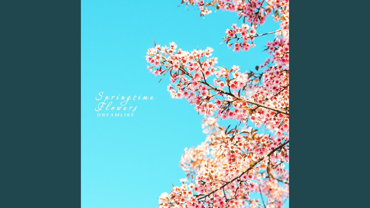 Watch Springtime Flowers on YouTube Watch Springtime Flowers on YouTube