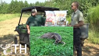 You want daylight buck activity? We show you how to do it!!