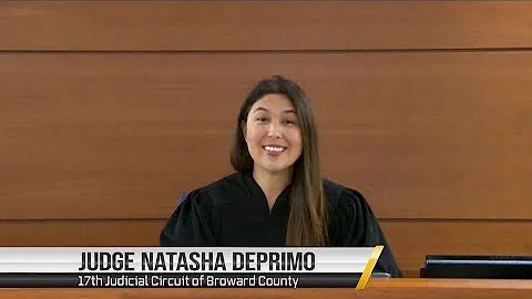 Judge Natasha DePrimo Discusses Conditional Plea o...