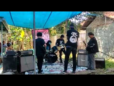 hammercrust live in kapetakan