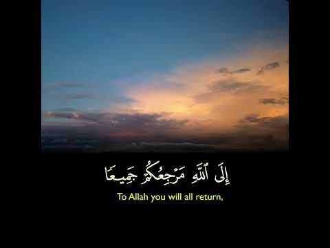 يا أيها الذين آمنوا عليكم أنفسكم لا يضركم من ضل إذا اهتديتم المائدة ١٠٥