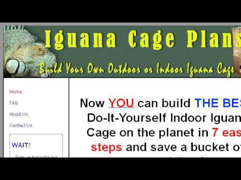 camera iphone 8 plus apk What Is The Minimum Cage Size For A Corn Snake?