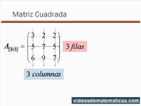 06 Matriz Cuadrada.mp4 - YouTube