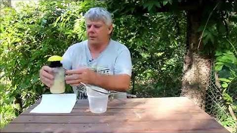 Catching Small Hive Beetle: How to prepare and deploy lantern traps