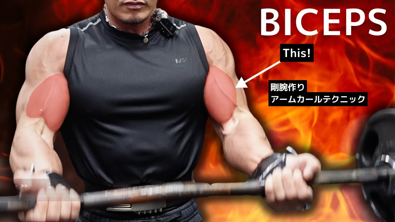これが剛腕を作るアームカール