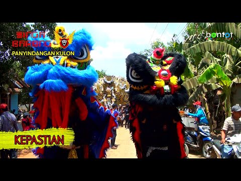 SINGA BARONG II PANORAMA VOC. YANTI II 04 JANUARI 2026 II PAREAN GIRANG - WALED