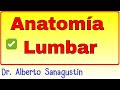 Anatomía Lumbar