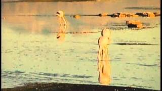 POSTALES DE CHILE,"LAGUNA CHAXA" MASVISION CANAL 22