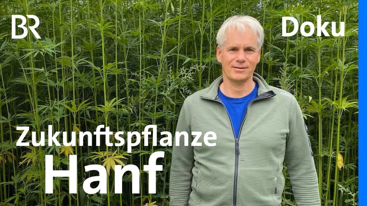 Multi-Talent Hanf: Hosen und Baustoffe vom Feld | Landwirtschaft | Doku | BR Story