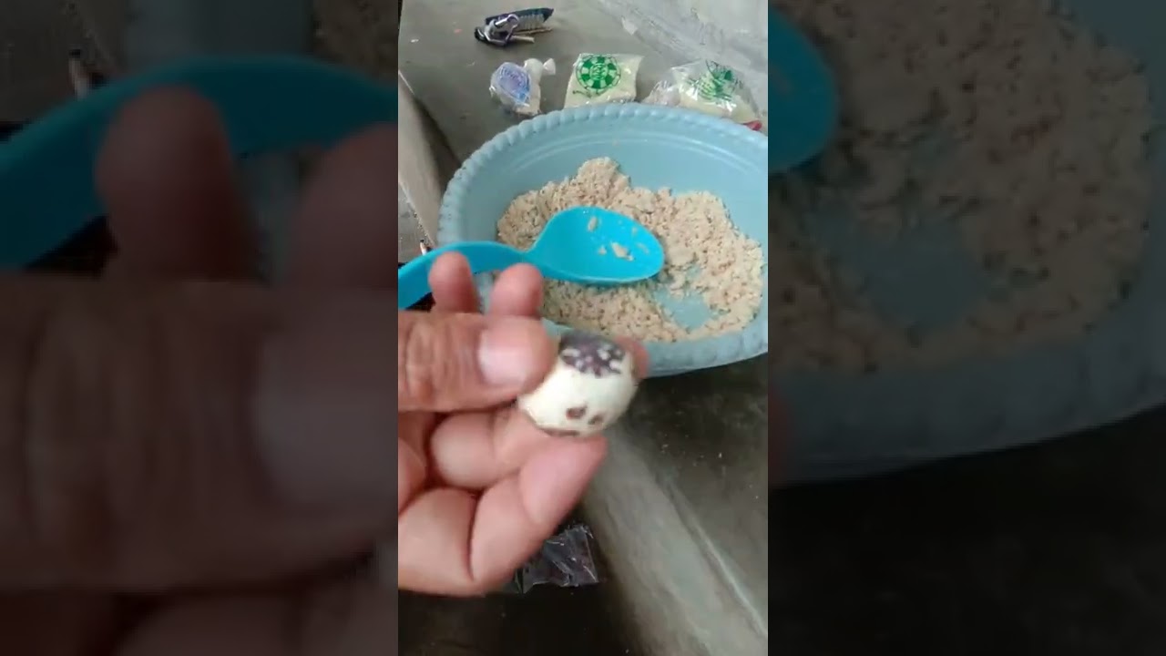 umpan ikan subang modal Rp 12.500 jos