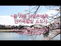 올해 일본에서 가장 뜨거울 곳, 드라마 '블라섬'의 배경지 이와쿠니 산책
