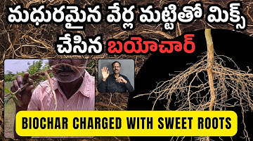 మధురమైన వేర్ల మట్టితో మిక్స్ చేసిన బయోచార్ | Biochar Charged with Sweet Roots Soil