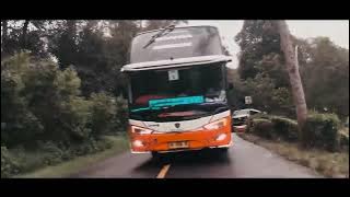Story'wa Bus Harapan Jaya