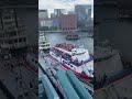 🏴 Scotland Fans Took Over The Harbor