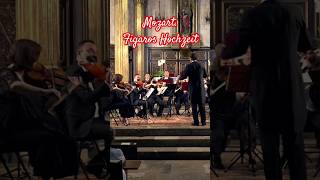 Mozart Overture The Marriage of Figaro #horstsohm &amp; #orchestra #shorts #music #live