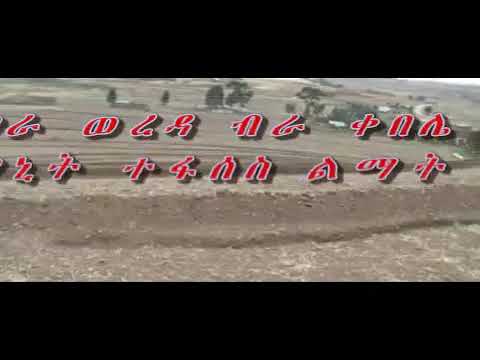 ቪዲዮ: የፕላን ዛፎችን መንከባከብ፡ ስለ ተክሎች እድገት መረጃ