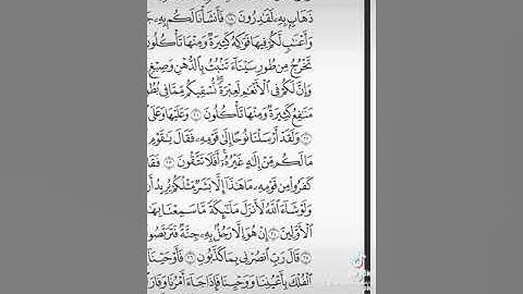 سورة المؤمنون ٢٠ رمضان ١٤٤٤ / أبوإياد الشمهاني