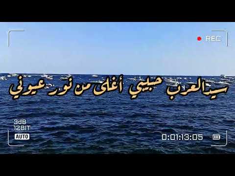 وصلة صبا في مقطع من نشيد سيد العرب