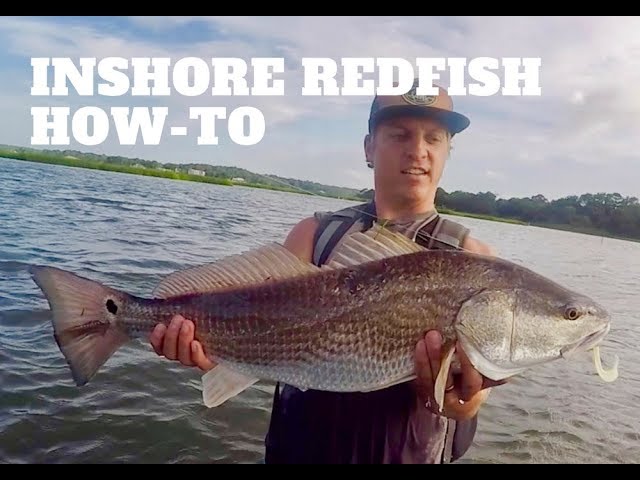 How to catch Redfish (Red Drum) - Redfish tips for inshore shallow water 