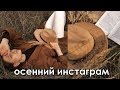 Простые идеи осенних фото в инстаграм |  бежевая обработка