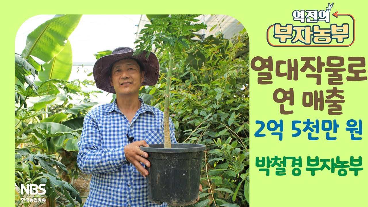 [역전의부자농부 305회] 열대작물로 연 매출 2억 5천만 원! 경남 하동 박철경 부자농부
