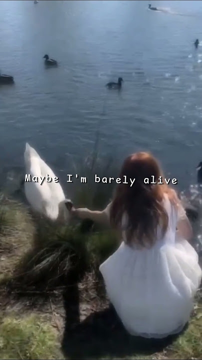 Girls Like You lyrics #lyrics #music #aesthetic #trending
