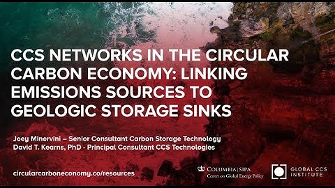 CCS Networks in the Circular Carbon Economy