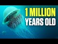 10 Oldest Living Creatures On Earth