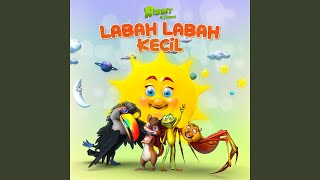 Labah-Labah Kecil