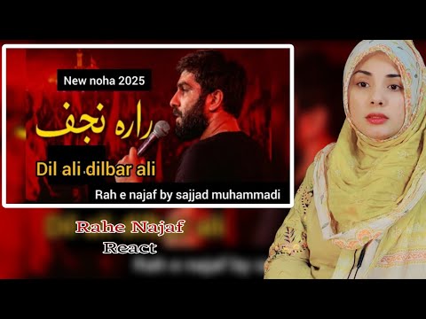 Reaction On Rah E Najaf By Sajjad Muhammadi Dil Ali Dilbar Ali I Am Gull