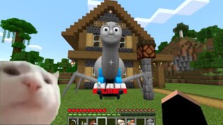 The spider Thomas Tank Engine live in Minecraft - Coffin Meme