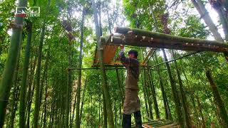 How I Built a Bamboo Tree House |  part 2 Completing the Tree House, Bushcraft Survival #11