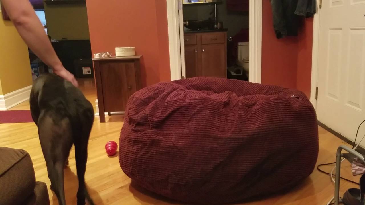 Dahlia Is Wary Of The Slumber Ball You Dahlia Is Wary Of The Slumber Ball
