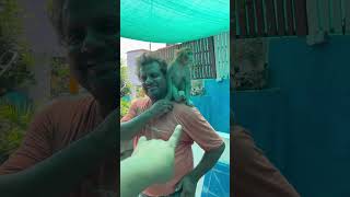 यह बच्चा अपने मलिक को छोड़ना नहीं chata #emotional #monkey