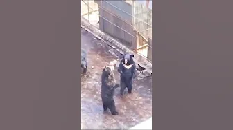 Влад Порфиров. Законченный роман