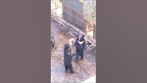 Thumbnail of Влад Порфиров. Законченный роман