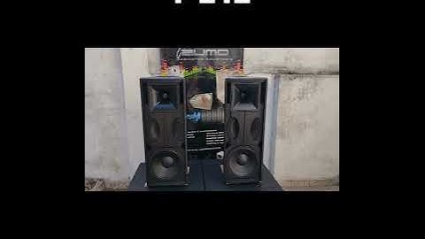 Doble de 12" F212 tipo Flexsys