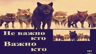 Литвиненко - Людское Басс Буст