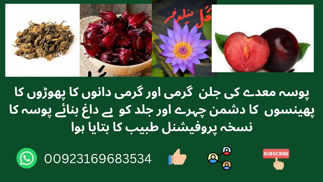 پوسہٰ گرمیوں میں گرمی کا توڑ pusa YouTube