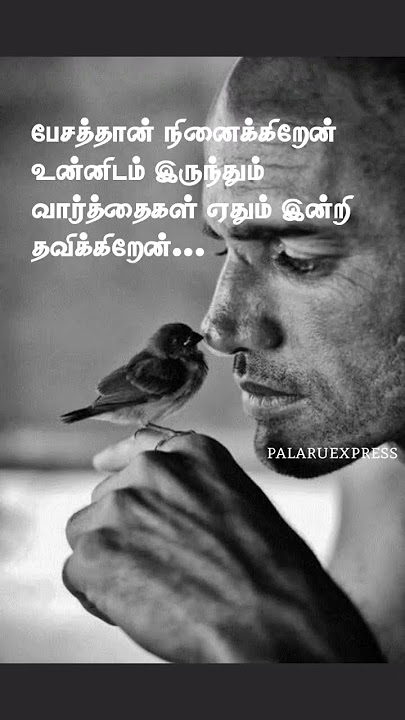 பேசத்தான் நினைக்கிறேன் | #trending #love #dailystatus #song #tamilsong #lovesong #latest, Ilaiyaraja