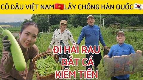 231🇰🇷 LẤY CHỒNG HÀN QUỐC CÔ DÂU VIỆT HÁI RAU BẮT CÁ KIẾM TIỀN.