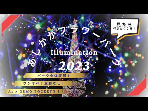 合同会社チェストスタジオ