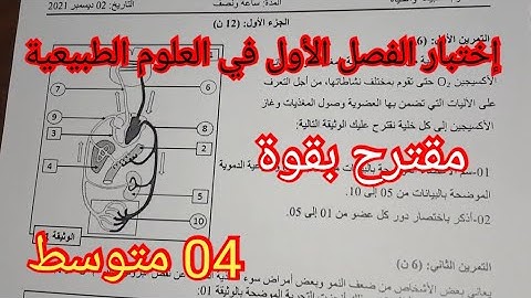 #إختبار الفصل الأول في العلوم الطبيعية السنة الرابعة متوسط 2024