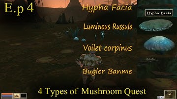The Elder Scroll 3  Morrowind Ep 4 | Finding 4 types of Mushroom | Ajira Quest