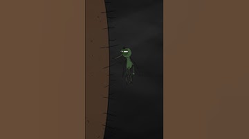 Thumbnail of what happens when a mosquito bites you.. #animation #insects #mosquito #flipaclip #funny