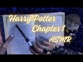 ASMR Inaudible Reading | Harry Potter and the Philosopher's Stone (Minalima Edition) thumbnail