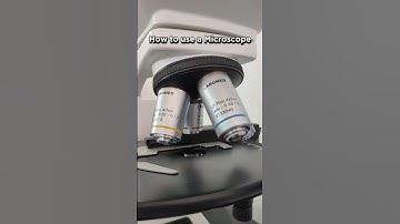 How to use a MICROSCOPE for beginners 🔬 | How to learn microscopy