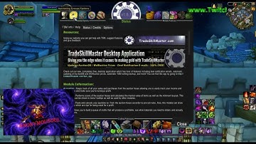 Trade Skill Master part 2